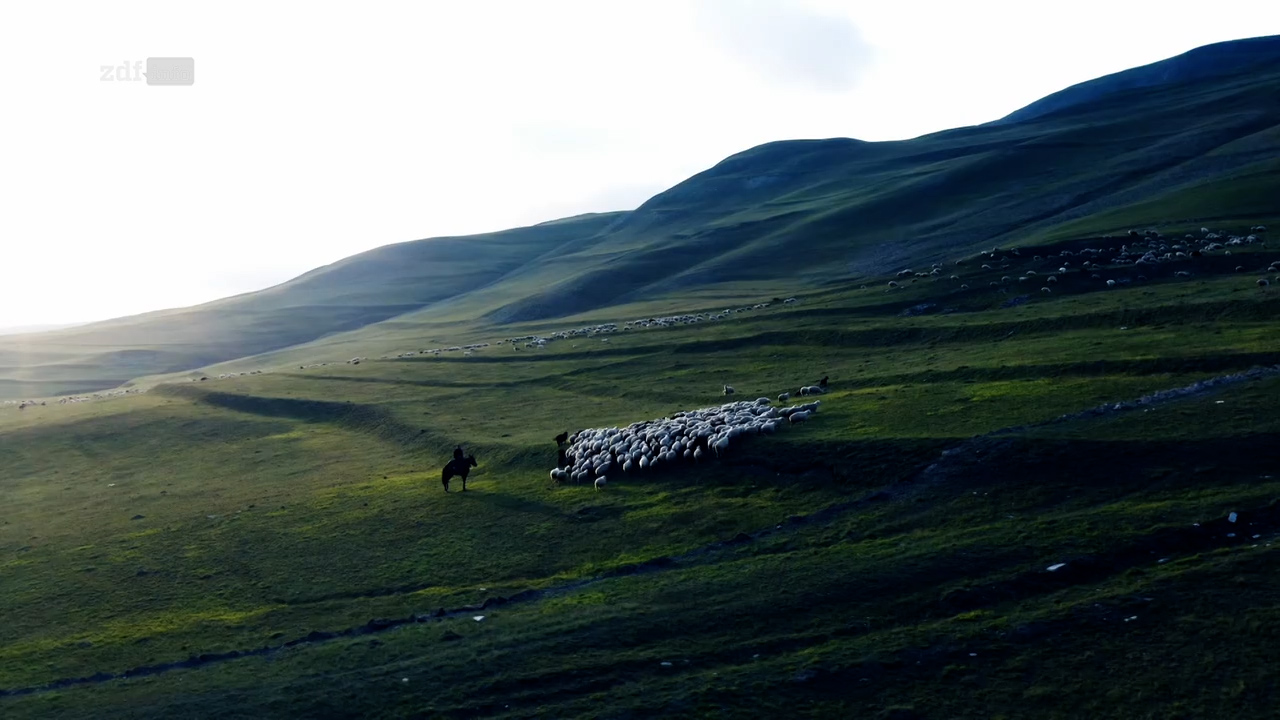 shepherd with his sheep in beautiful mountain landscape